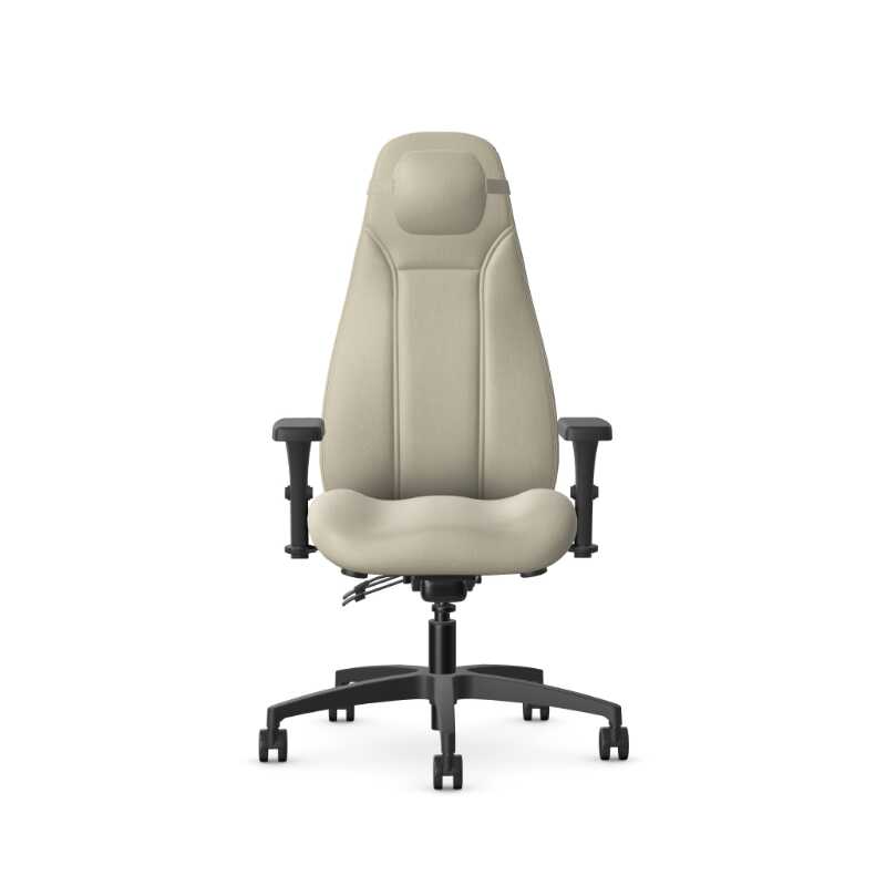 Allseating Therapod Therapist Extra Highback Lariat Alabaster 50390-4D-AWK-NP-KD-AS-FV-LALA